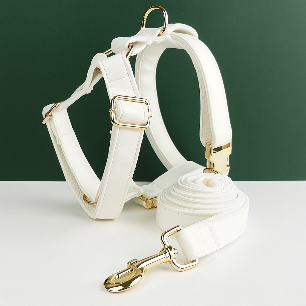 Ivory Gold Set (Pettorina & Guinzaglio)