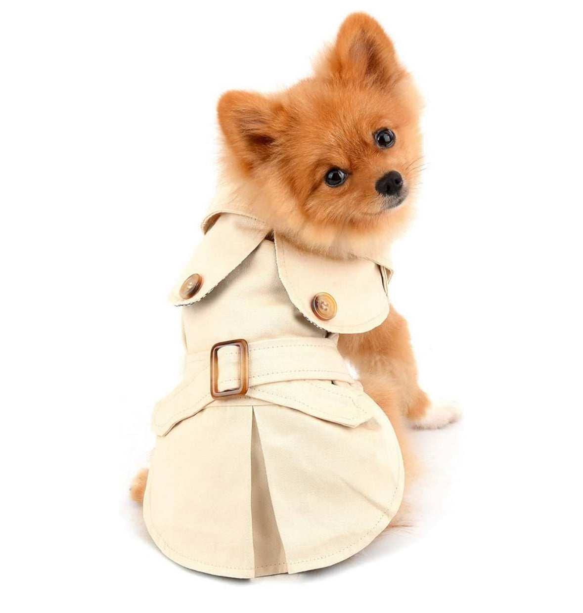 Heritage Trench Petit