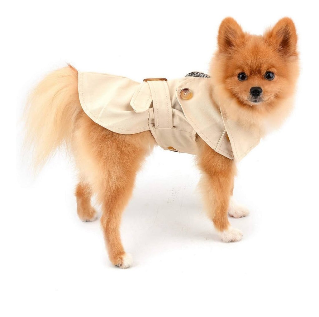 Heritage Trench Petit