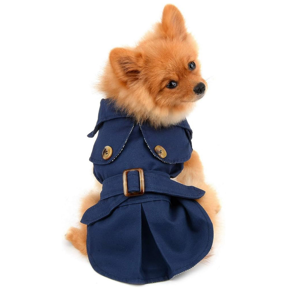 Heritage Trench Petit