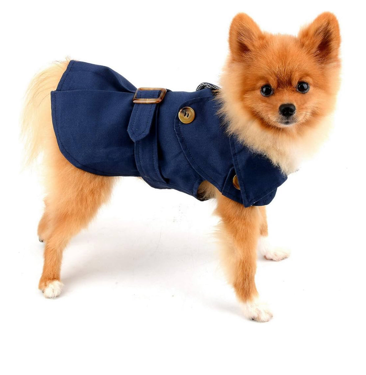 Heritage Trench Petit