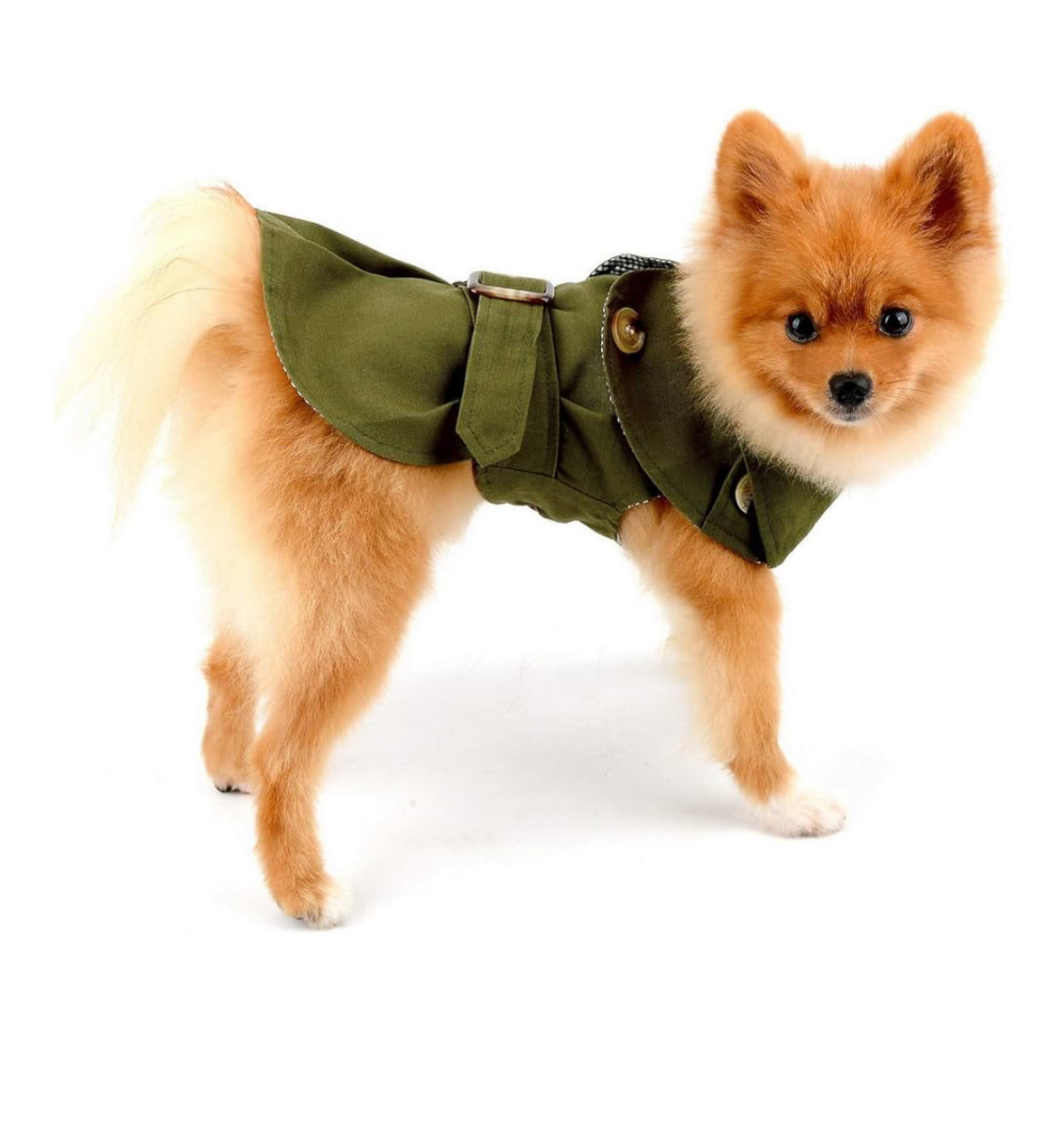 Heritage Trench Petit