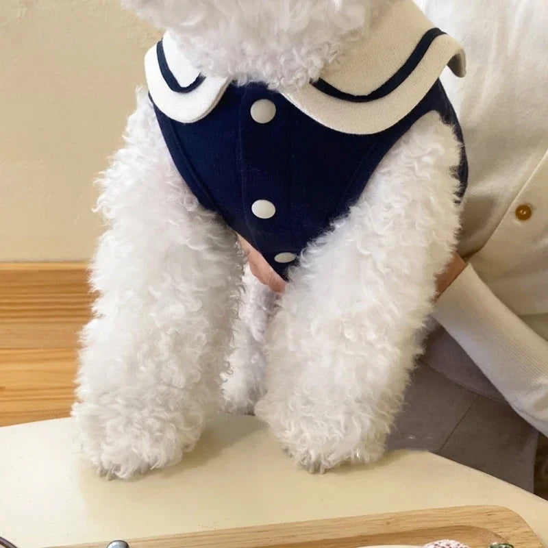 Dolce Vita Petit Polo