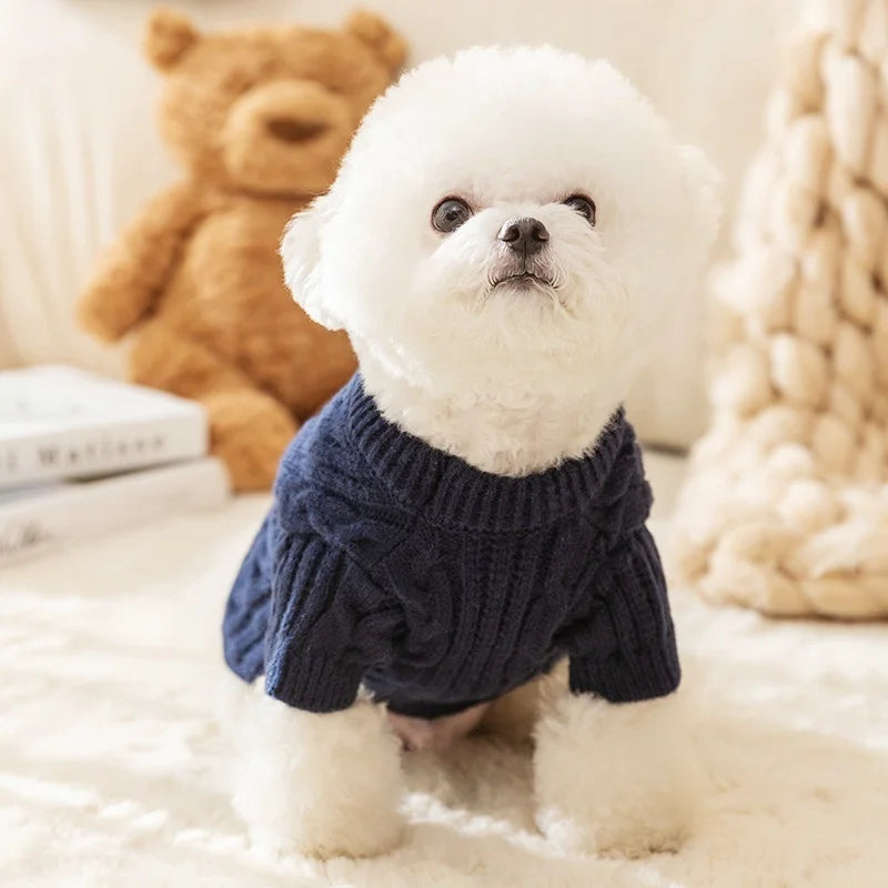Tricot Petit Pullover
