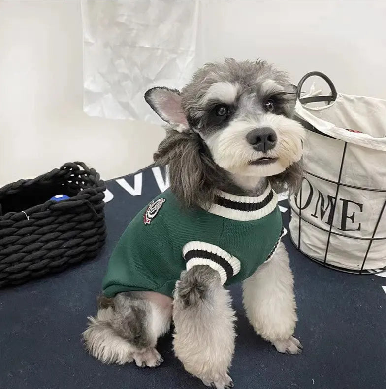 College Pullover