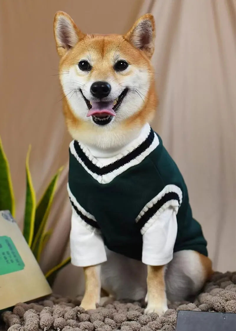 College Pullover