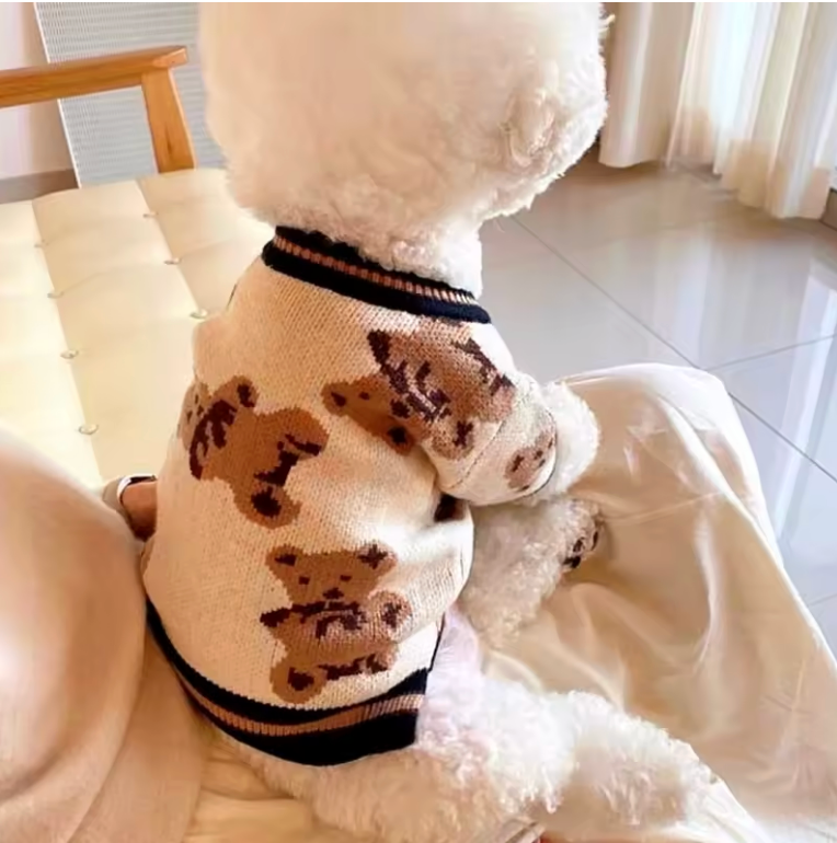 Cardigan Teddy