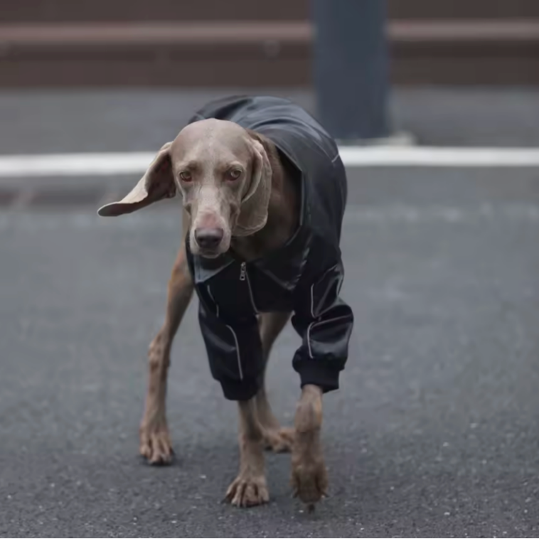 Rider Jacket
