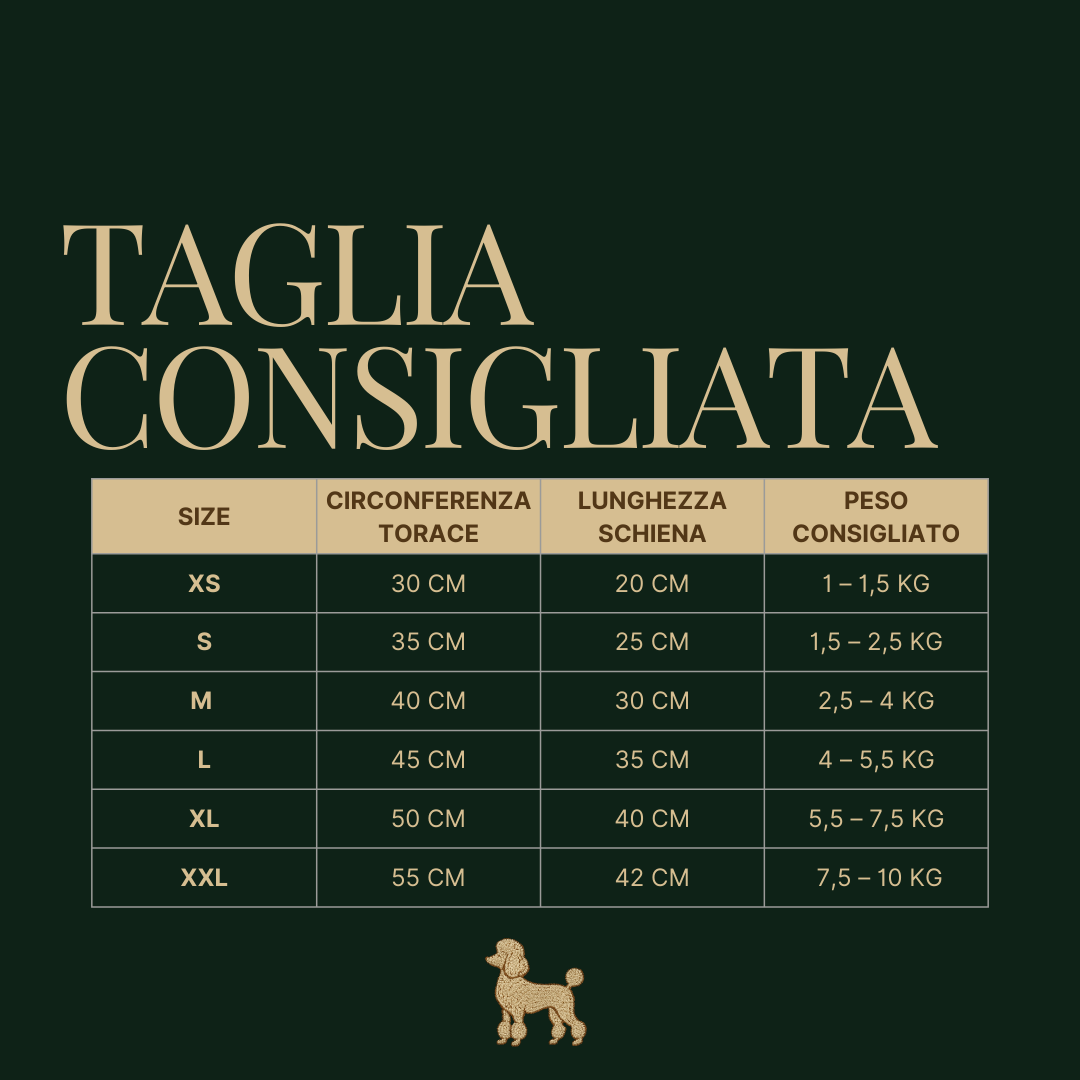 Zampieri Iconic Polo