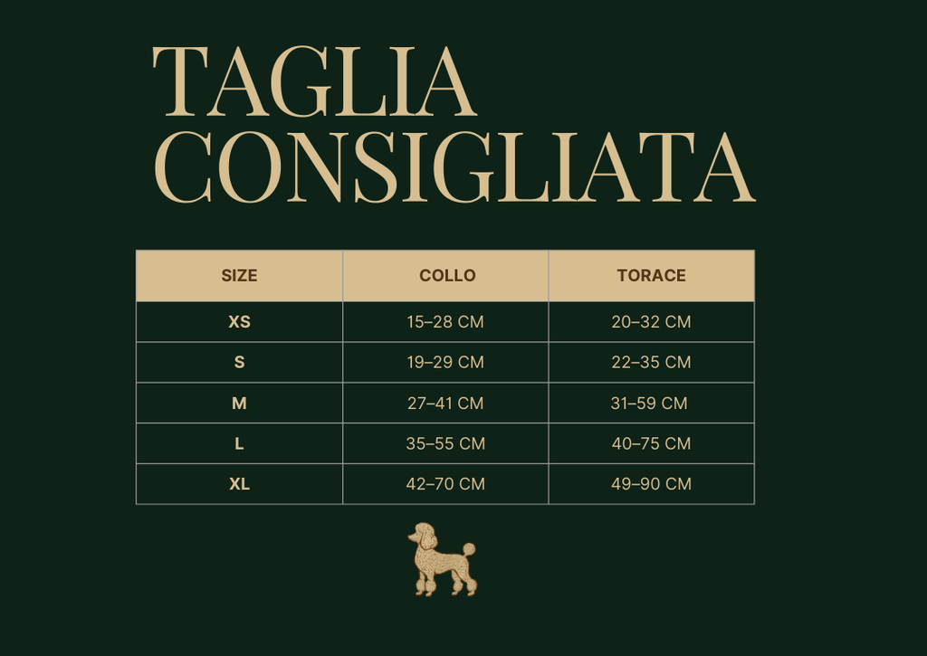 Ivory Gold Set (Pettorina & Guinzaglio)